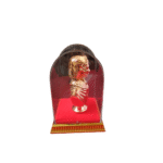 Copper Finish FLORENCE NIGHTINGALE with Acrylic Box Case (Round) - Image 3