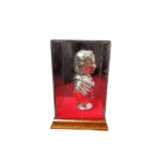 Silver Plated Finish FLORENCE NIGHTINGALE with Acrylic Box Case (Square) - Image 4