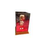 Copper Finish FLORENCE NIGHTINGALE with Acrylic Box Case (Square) - Image 5